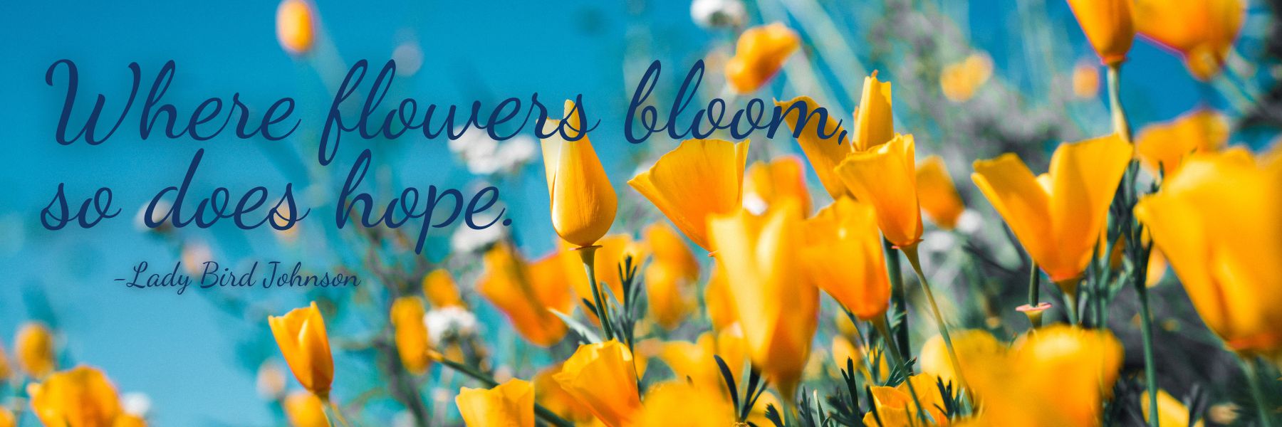 Flower Delivery to Belleville by Flowers By Dustin